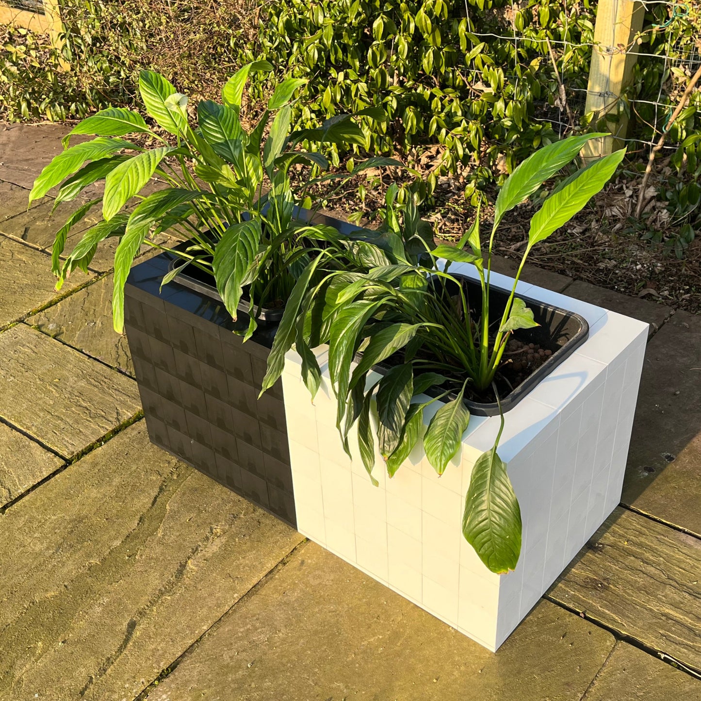 Single Morph PLanters in black or white ABS