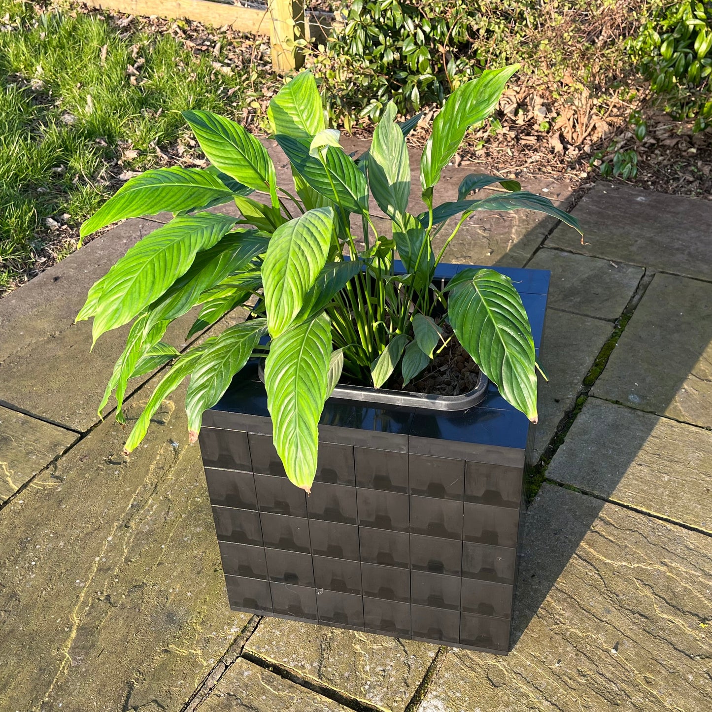 Single Morph PLanters in black or white ABS